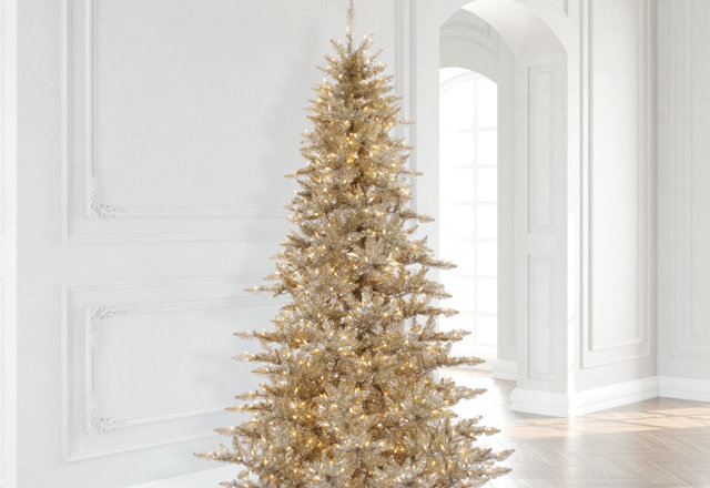 Large Christmas Trees